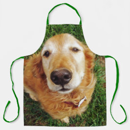 ゴールデンレトリバー エプロン