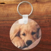 ゴールデンレトリバー キーホルダー (正面)