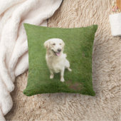 ゴールデンレトリバー クッション (ブランケット)