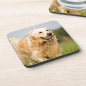 ゴールデンレトリバー コースター (左側)