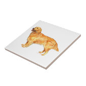 ゴールデンレトリバー タイル (側面)