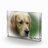 ゴールデンレトリバー。 フォトブロック (右)