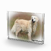 ゴールデンレトリバー。 フォトブロック (右)