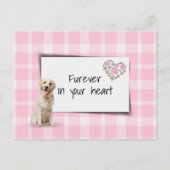 ゴールデンレトリバー ペット シンパシー 喪失 ポストカード (正面)