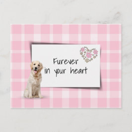 ゴールデンレトリバー ペット シンパシー 喪失 ポストカード