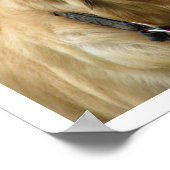 ゴールデンレトリバー ポスター (角)