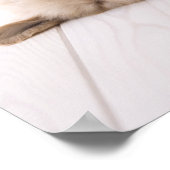 ゴールデンレトリバー ポスター (角)