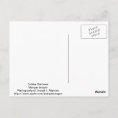 ゴールデンレトリバー ポストカード (裏面)