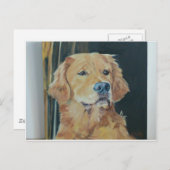 ゴールデンレトリバー ポストカード (正面/裏面)