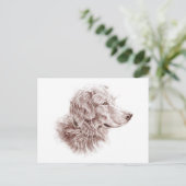 ゴールデンレトリバー ポストカード (スタンド正面)