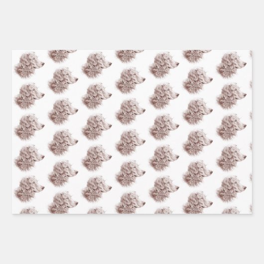 ゴールデンレトリバー ラッピングペーパーシート (正面)