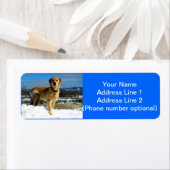 ゴールデンレトリバー ラベル (インサイチュ)