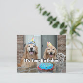ゴールデンレトリバー 誕生日ケーキ ポストカード (スタンド正面)