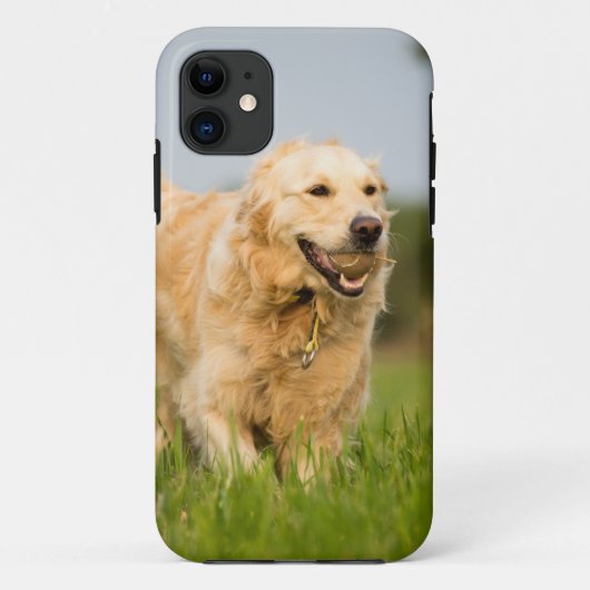 ゴールデンレトリバー Case-Mate iPhoneケース (裏面)