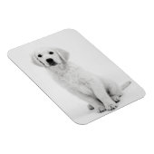 ゴールデンレトリバーi マグネット (右側)