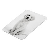 ゴールデンレトリバーi マグネット (左側)