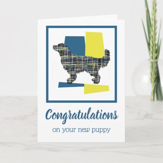 ゴールデンレトリバーPUPおめでとうグリーティングカード カード (正面)