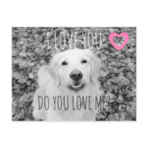 ゴールデンレトリバーVALENTINEはがき