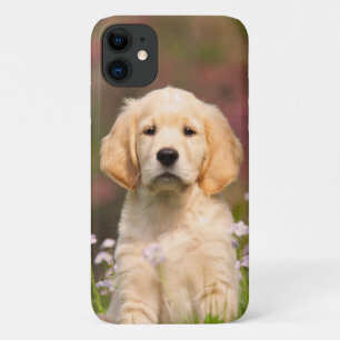 ゴールデンレトリーバードッグカワイトゴールディーポートレート- iPhone 11 ケース