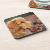 ゴールデンレトリーバー コースター (左側)