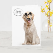 ゴールデンレトリーバー(仮面誕生日) カード (黄色い花)