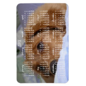 ゴールデンレトリーブカレンダー2017大型フォトマグネット マグネット (縦)