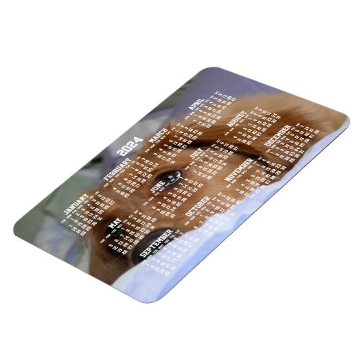 ゴールデンレトリーブカレンダー2024大型フォトマグネット マグネット (左側)