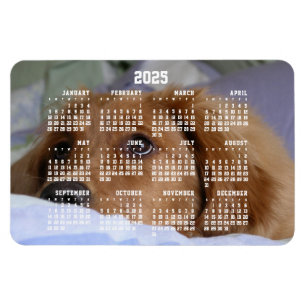 ゴールデンレトリーブカレンダー2025大型フォトマグネット マグネット