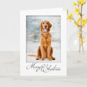 ゴールデンレトリーブクリスマスカード カード (黄色い花)