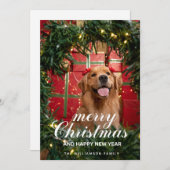 ゴールデンレトリーブクリスマスカード シーズンカード (正面/裏面)