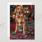 ゴールデンレトリーブクリスマス 招待状 (正面/裏面)