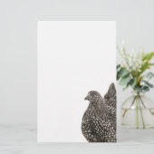 ゴールデンレースワインドットチキン 便箋 (スタンド正面)