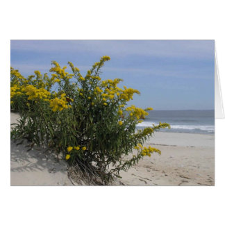 ゴールデンロッドバイザシー