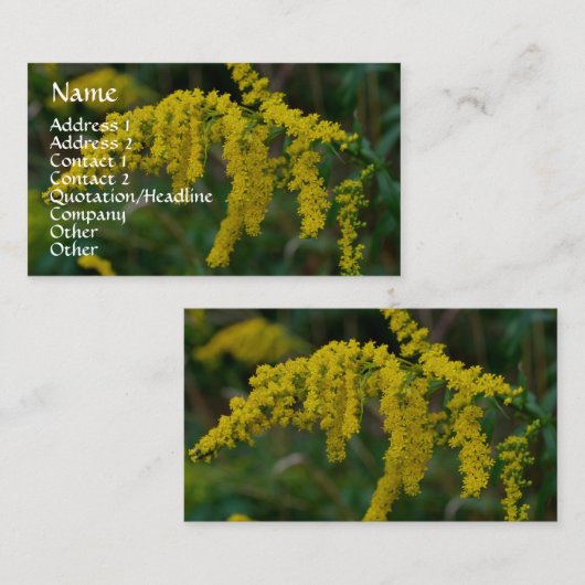 ゴールデンロッド自然写真名刺 名刺 (正面/裏面)