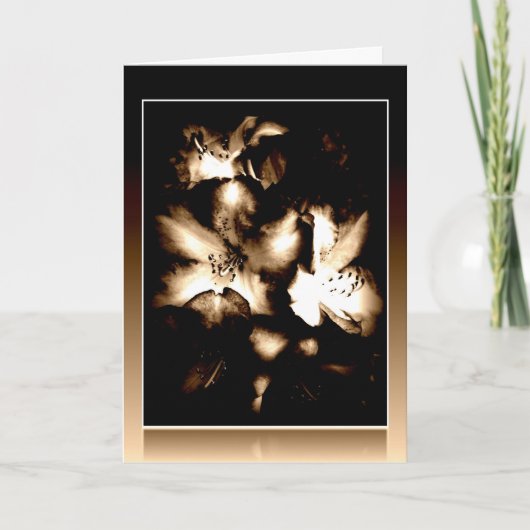 ゴールデンロドスカード カード (正面)