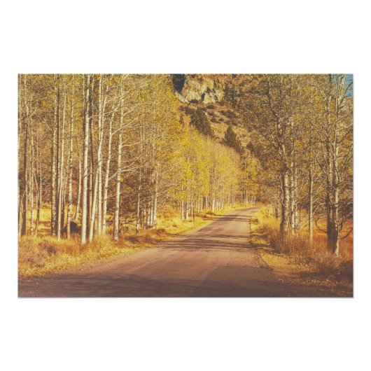 ゴールデンロード ポスター (正面)