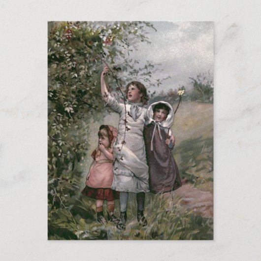 ゴールデン日ヴィンテージブックイラストレーション ポストカード (正面)