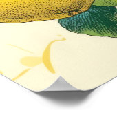 ゴールデン梨 ポスター (角)