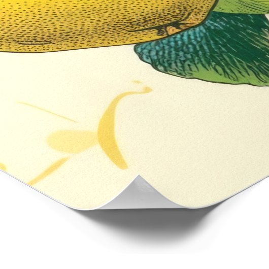 ゴールデン梨 ポスター (角)