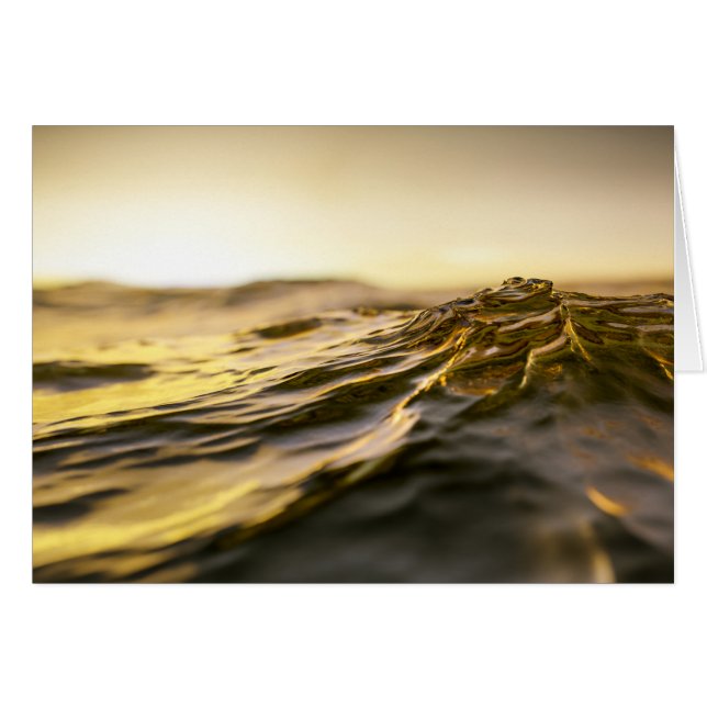 ゴールデン海サンセット (正面横)