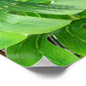 ゴールデン王室のピーコックテンプルドリームズ ポスター (角)