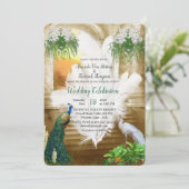 ゴールデン王室のホワイト孔雀の羽 招待状 (スタンド正面)