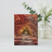 ゴールデン秋 ポストカード (スタンド正面)