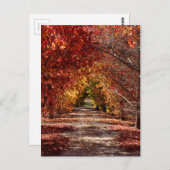 ゴールデン秋 ポストカード (正面/裏面)