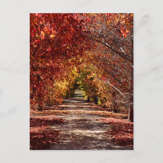 ゴールデン秋 ポストカード (正面)