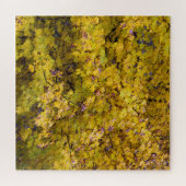 ゴールデン葉秋- 20x20インチ ジグソーパズル (横)