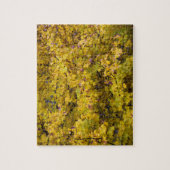 ゴールデン葉秋- 8x10インチ ジグソーパズル (縦)