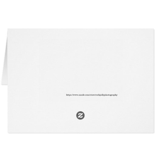 ゴールデン葉連祝祭日 (裏面横)