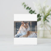 ゴールデン虎猫タイガーアットクーガーマウンテンズー1 ポストカード (スタンド正面)