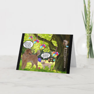 ゴールデン誕生日 カード